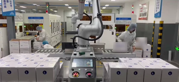 ROKAE cobot palletizing workstation stacking cartons onto pallets on both sides of the robot
